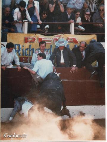 Photographie taureau dans l'arène