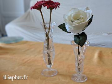 2 vases ciselés en verre