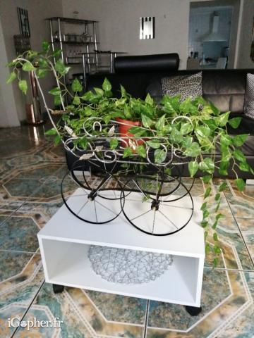 Poussette sculptée décorative