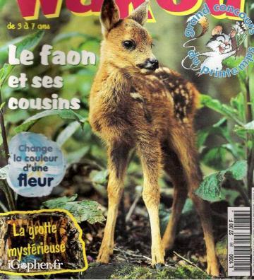 Magazine Wakou n°86 (Mai 1996)