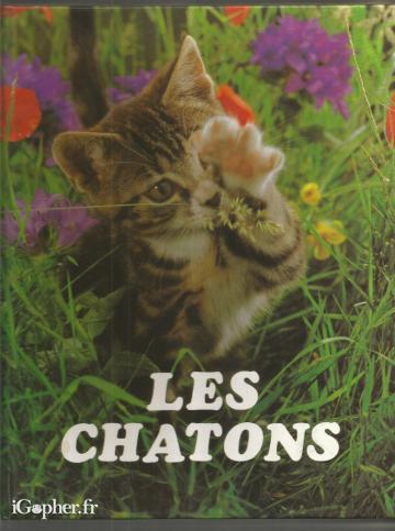 Livre : Les chatons (Karsten Diettrich)