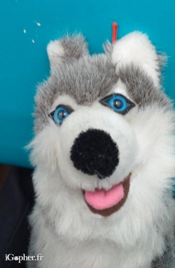 Peluche chien husky - 26 cm