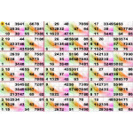 Plaque de 18 cartons de loto plastifié 500 microns neuf (A3)