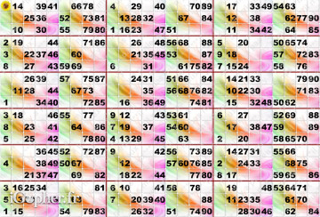 Plaque de 18 cartons de loto plastifié 500 microns neuf (A3)