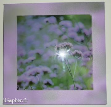 Tableau mauve en verre motif fleurs