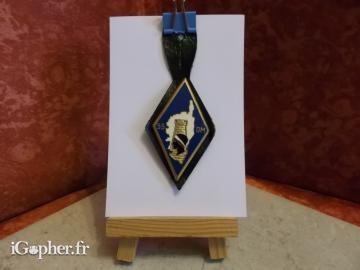 Pucelle 55 DM (insigne militaire)
