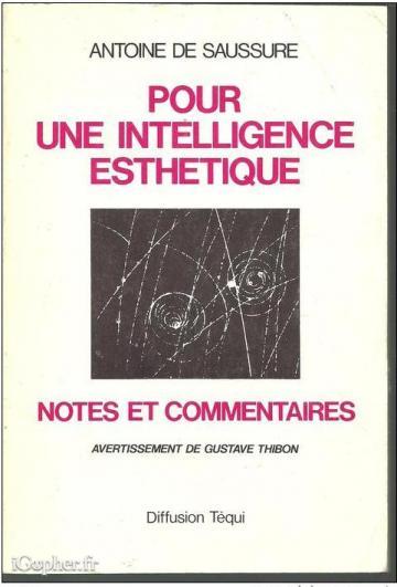 Pour une intelligence esthétique / Antoine de SAUSSURE