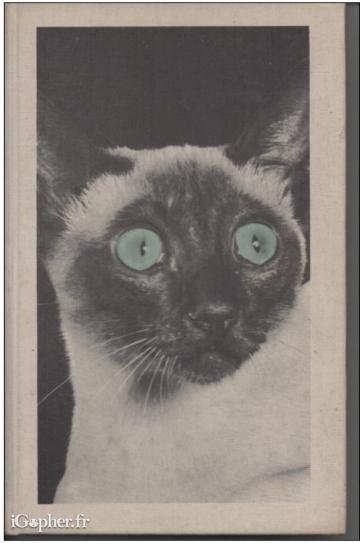 Livre : Les chats dans le beffroi (Dorren Tovey)