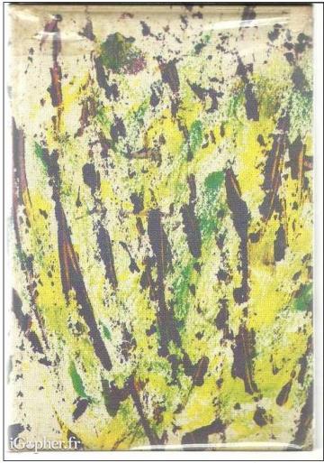 Livre : La féerie cinghalaise, Ceylan avec les anglais