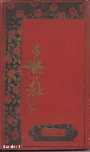 Livre : Voyage de Gulliver à Lilliput (Swift)