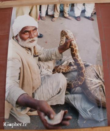 Grande photo d'un charmeur de serpent
