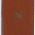 Livre : La pierre maléfique & Une aurore boréale