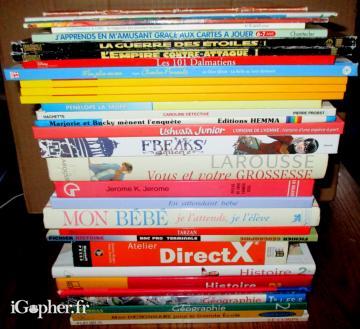 31 livres divers (BD, scolaire, manga...)