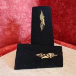 Fourreaux d'épaules Armée de l'Air France