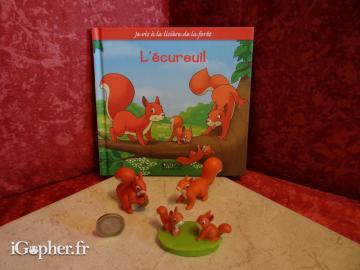 3 figurines écureuil + livre enfant