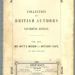 Livre anglais : Mr Witt's Widow (Anthony Hope)