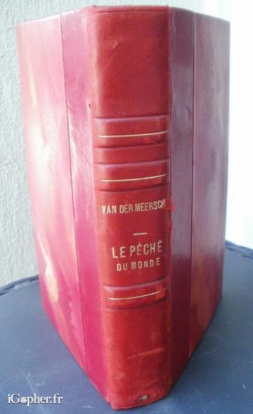 Livre : La fille pauvre : Le péché du monde