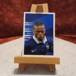 Vignette FFF Euro 2016 N°53