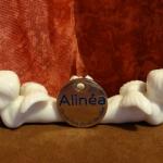 Jeton de caddie Alinéa