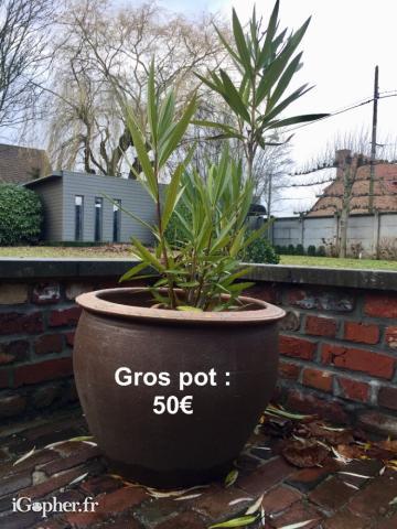 Gros pot en grey