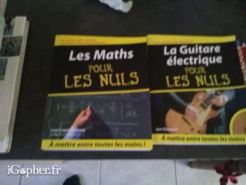 2 livres "Pour les nuls" : Les maths + La guitare électrique