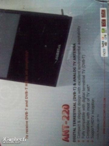 Antenne intérieure TNT (noire)