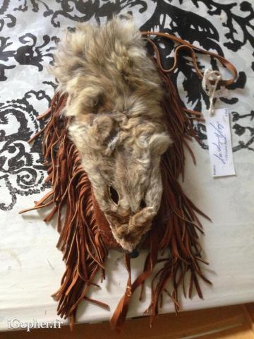 Sac Amérindien Apache Coyote